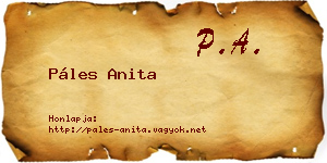 Páles Anita névjegykártya